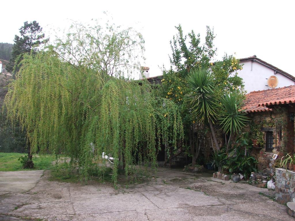 Chao Da Lousa Dornes Buitenkant foto